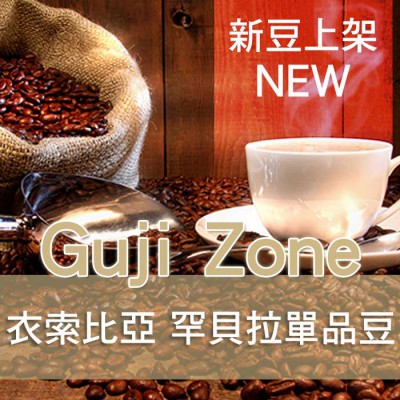 進口咖啡豆-代表圖005-1