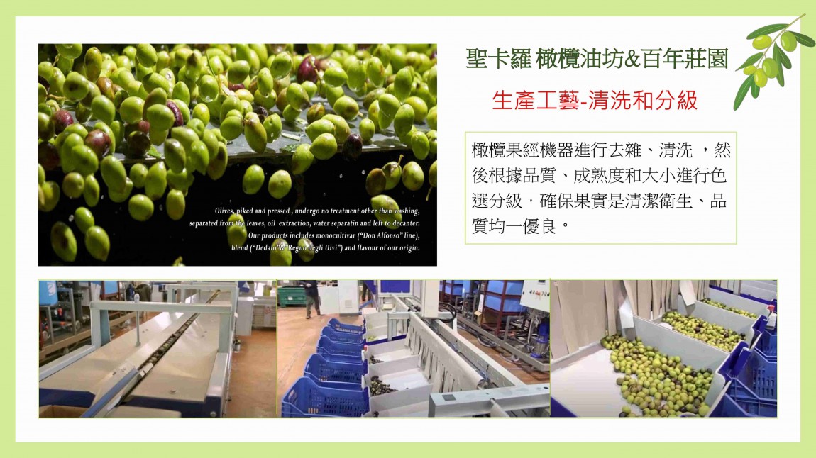 530738424265572467_LINberg_西西里島夏卡.聖卡蘿油坊( Oleificio San Calogero)_ EVOO _官網6