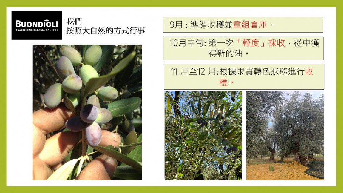 投影片8.JPG