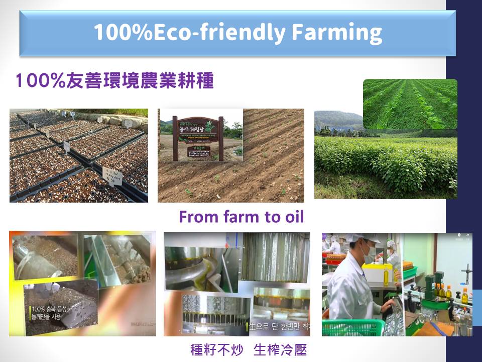 韓國紫蘇油產品簡介-