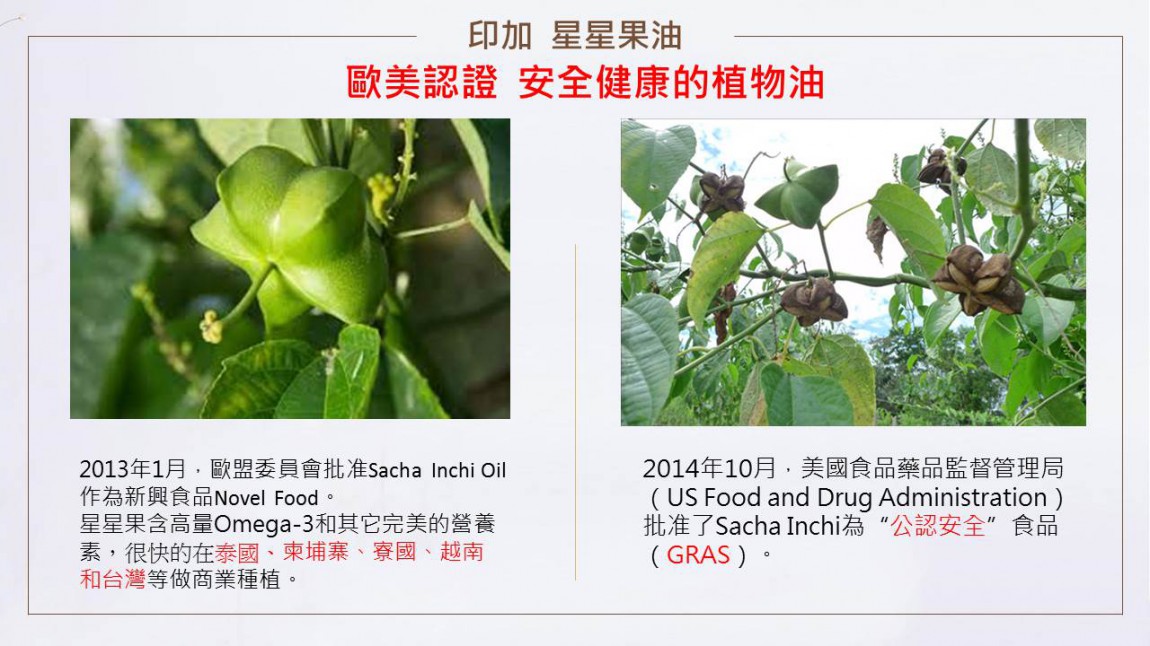 投影片4.JPG