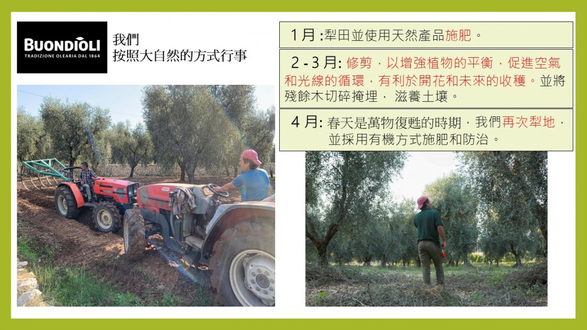 投影片6.JPG