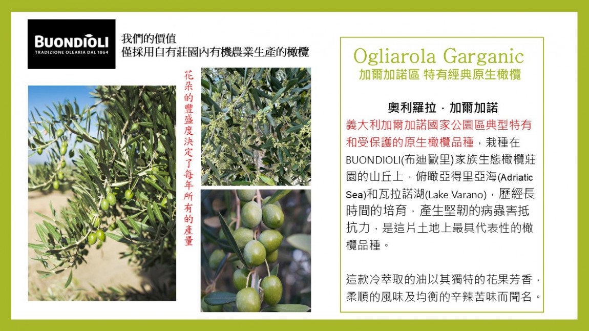 LINberg_布迪歐里莊園油坊 _250. 500ml_1L EVOO_2025