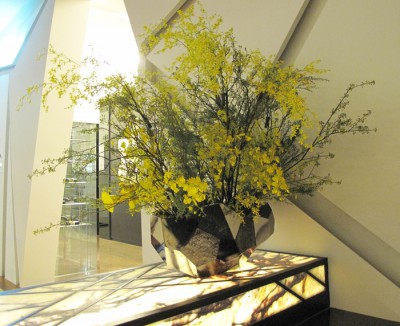 2015-02-03 17.25.28 GL482631