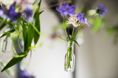 1401022314237 IMG_5784