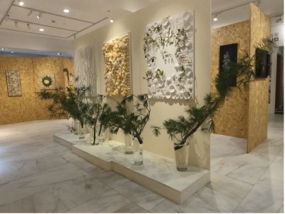 167172481147151_P19735241 167172481147151_P19735241