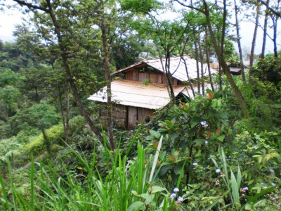 CIMG2873.JPG IMG_5784