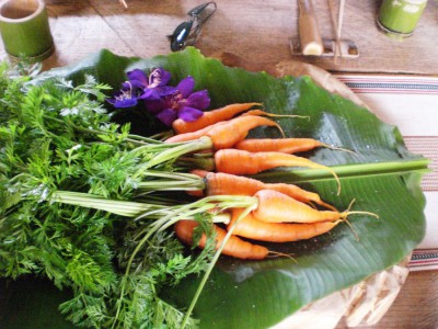 CIMG2924.JPG IMG_5784