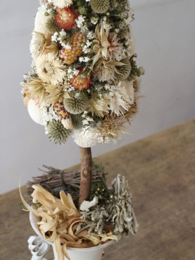 IMG_0186.JPG IMG_0186.JPG