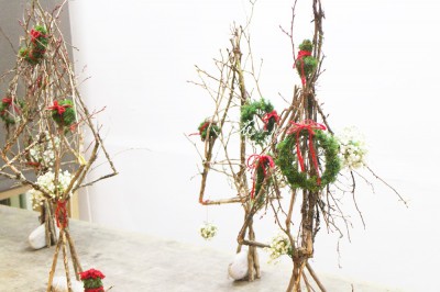 IMG_3564.JPG IMG_3564.JPG