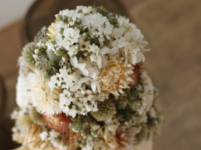 IMG_0195.JPG IMG_0195.JPG