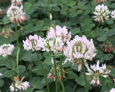 20170418_170418_0002 20170418_170418_0002