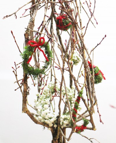 IMG_3570.JPG IMG_3570.JPG