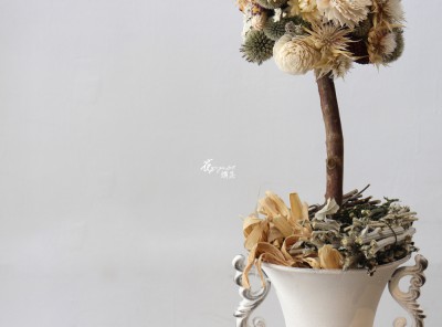 IMG_0175.JPG IMG_0175.JPG