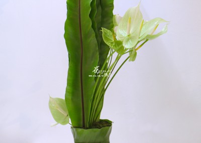 IMG_9520.JPG IMG_9520.JPG