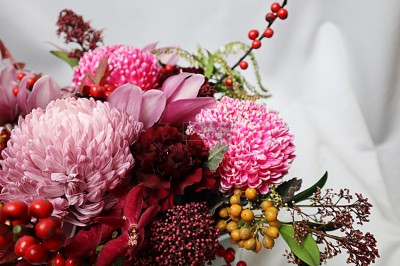 IMG_2547-1 IMG_2547-1