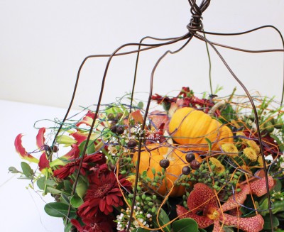 IMG_3134.JPG IMG_3134.JPG