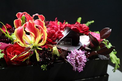 IMG_4937ok IMG_4937ok