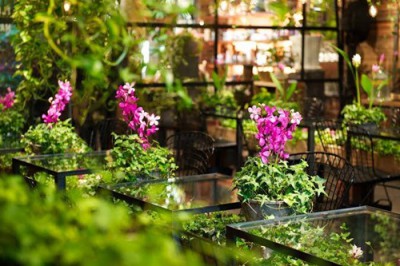 14860_587801418002654_4287407264686554098_n 14860_587801418002654_4287407264686554098_n