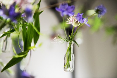 1401022314237 1401022314237