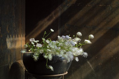 16116191911789401ee626 16116191911789401ee626