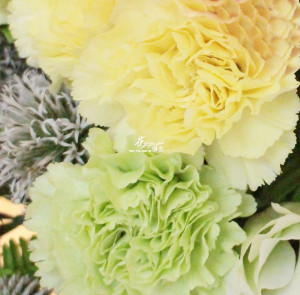 【飄洋過海學花藝】 【飄洋過海學花藝】