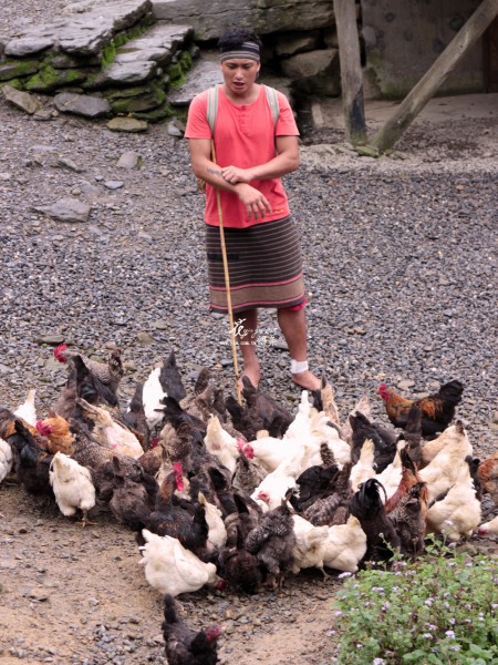 【回到最初的點】 【回到最初的點】