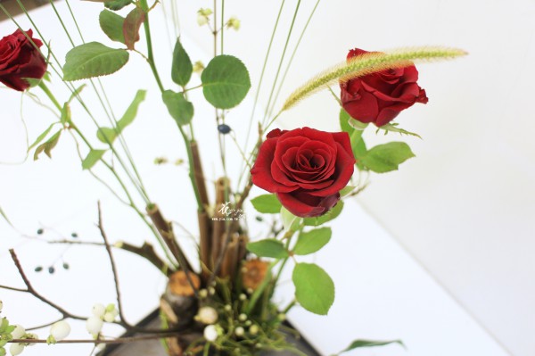 【盤中花園】 【盤中花園】