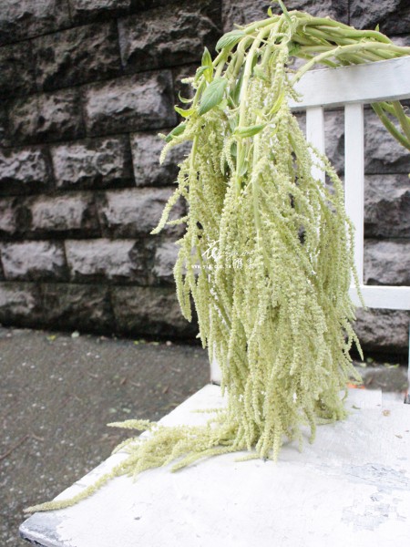 【季節花設計-紅蔾】 【季節花設計-紅蔾】