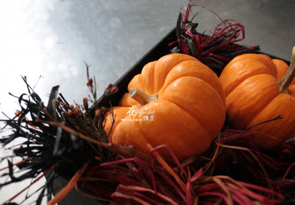 【橙黃花禮-南瓜】 【橙黃花禮-南瓜】