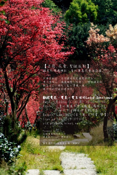 【生態.花藝.聖誕派對】 【生態.花藝.聖誕派對】