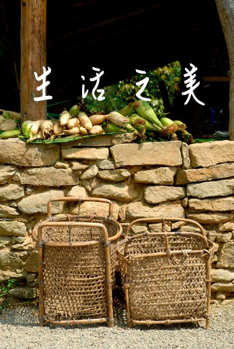 【一起BulauBulau】 【一起BulauBulau】