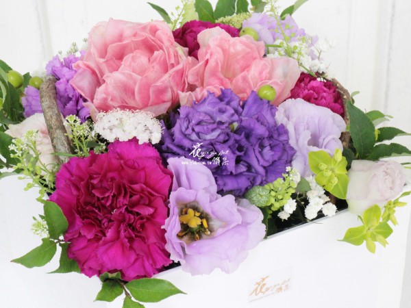 【迷漾花園】 【迷漾花園】