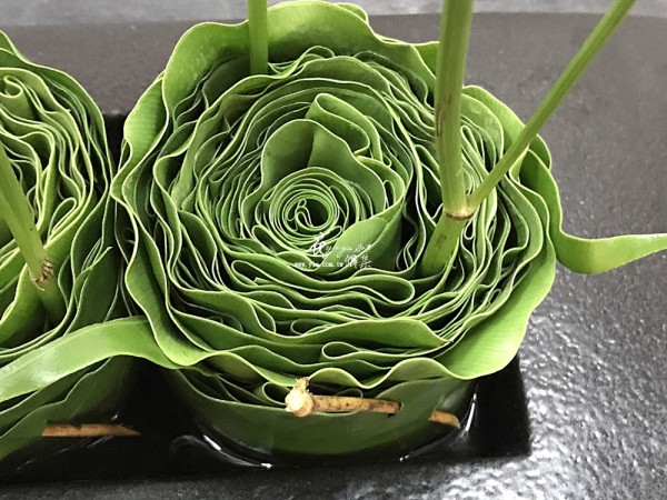 【葉紋】 【葉紋】