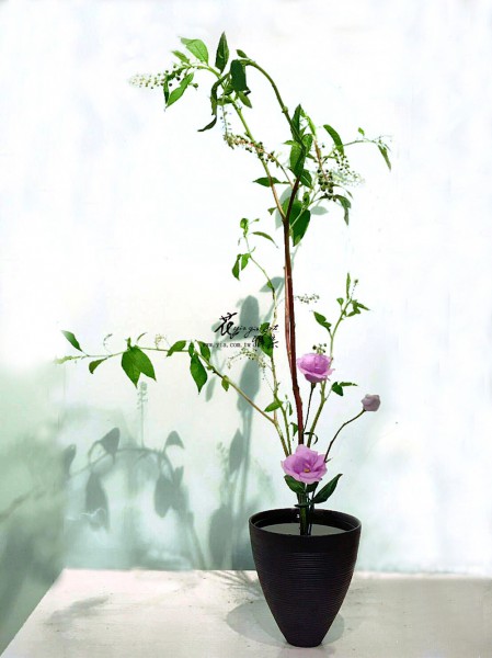 【生花二種生】 【生花二種生】