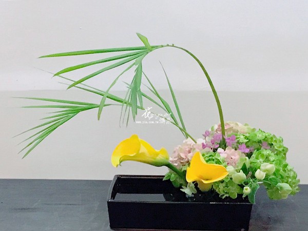 【池坊-自由花】 【池坊-自由花】