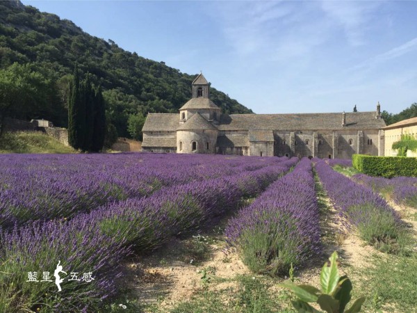 【芳香生活-薰衣草】 【芳香生活-薰衣草】